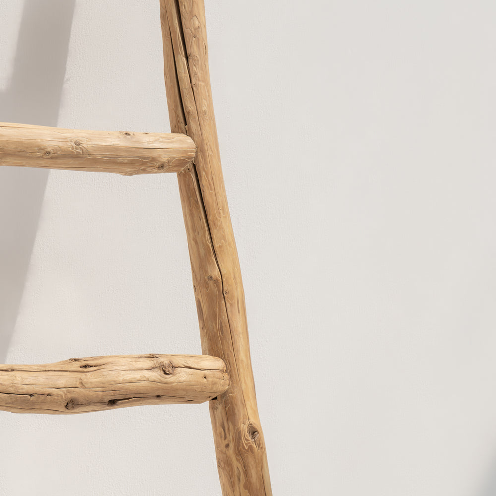Delphine | Ladder