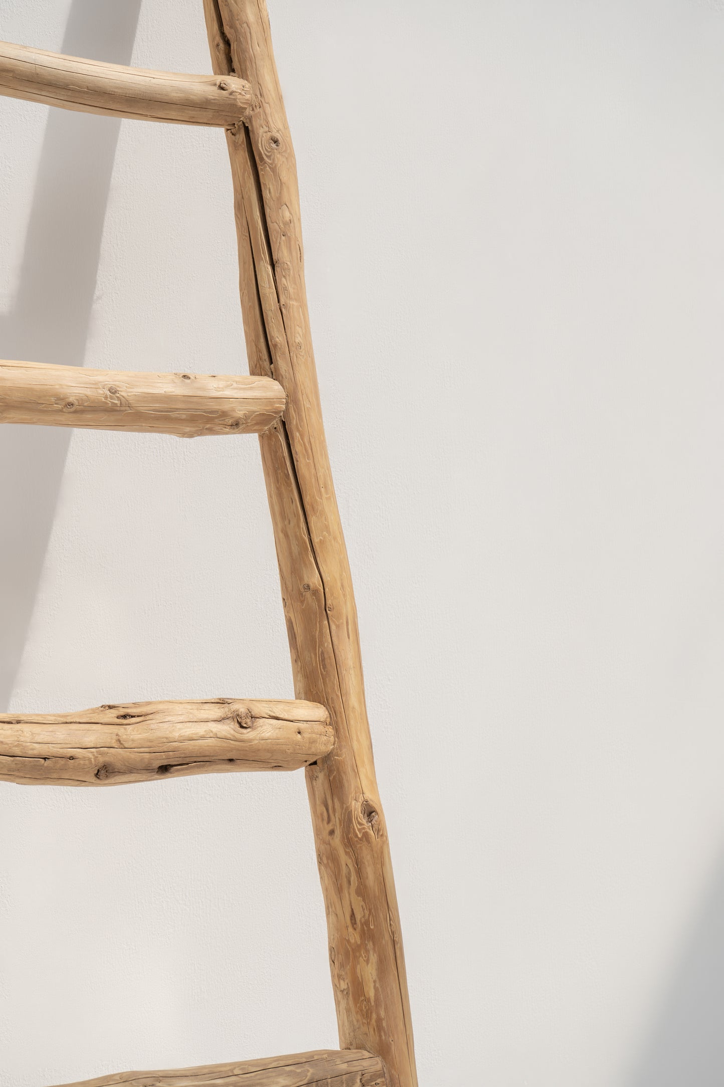 Delphine | Ladder