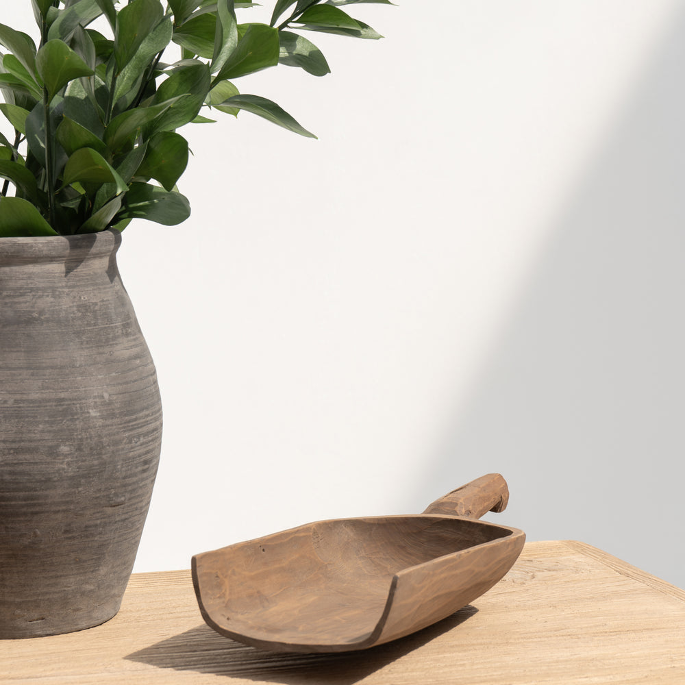 Ines | Grains scoop