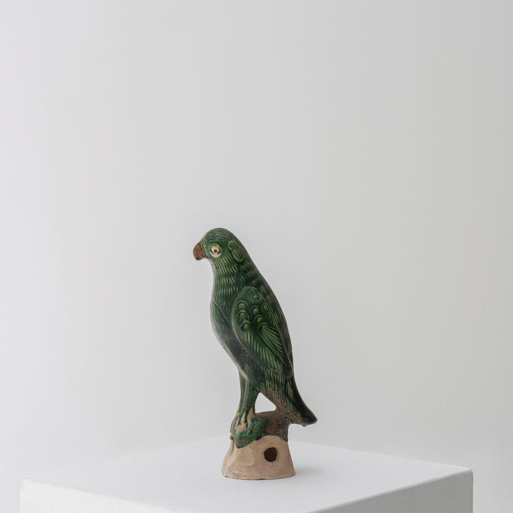 
                  
                    Melody | Parrots
                  
                
