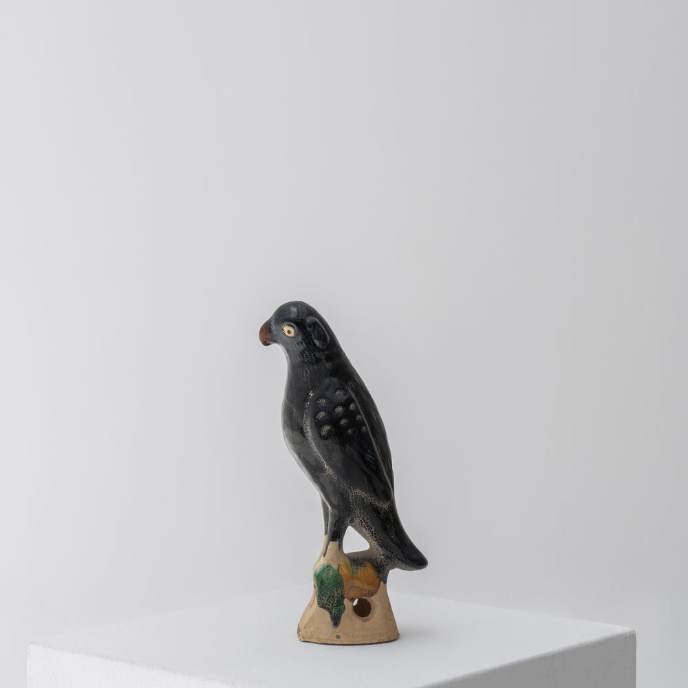 
                  
                    Melody | Parrots
                  
                