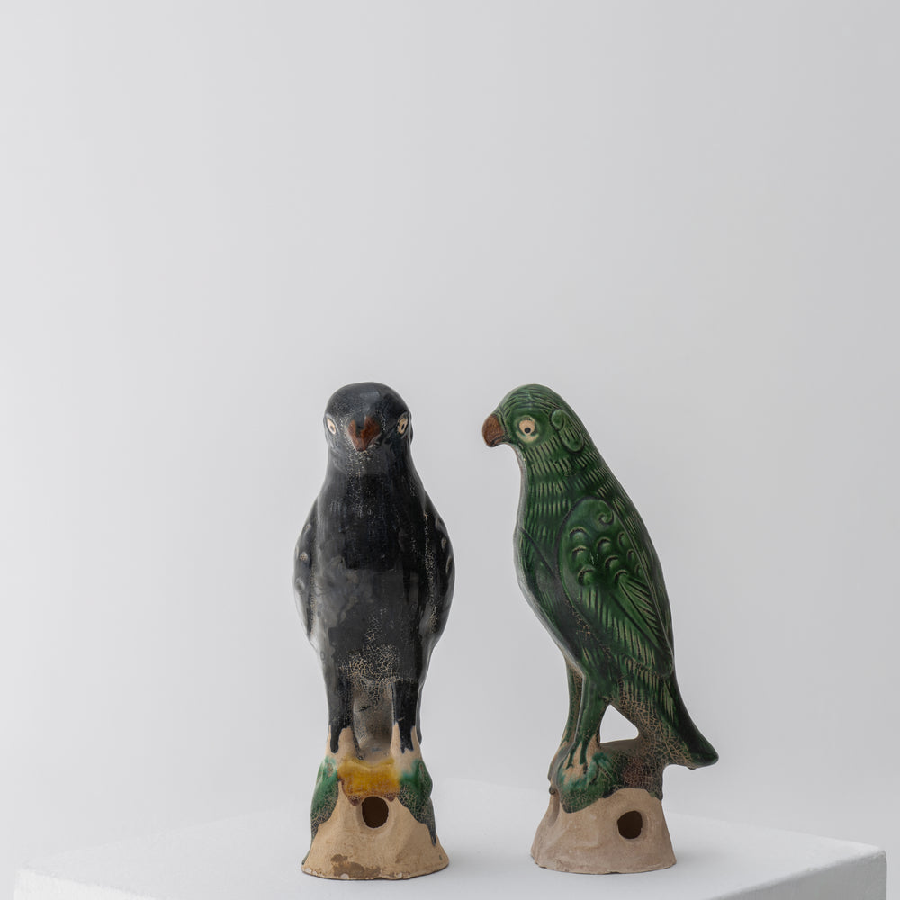
                  
                    Melody | Parrots
                  
                
