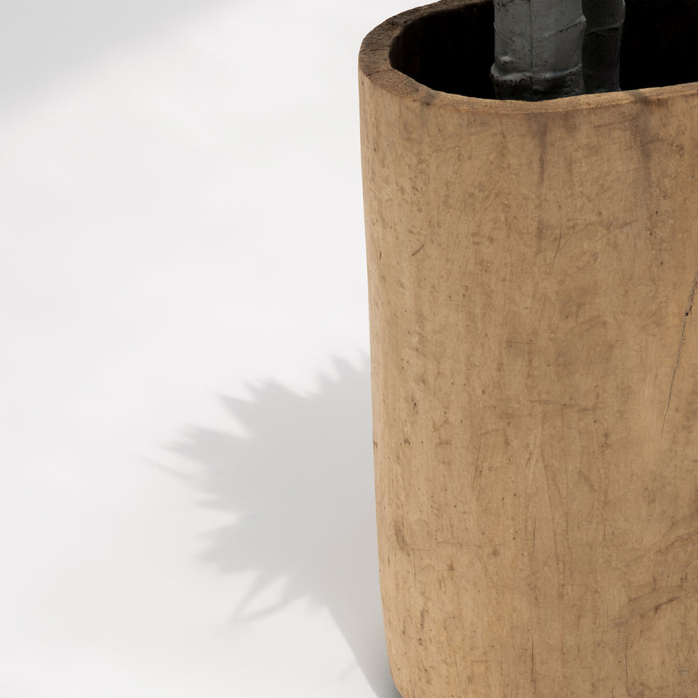 
                  
                    Amandine | Pot
                  
                