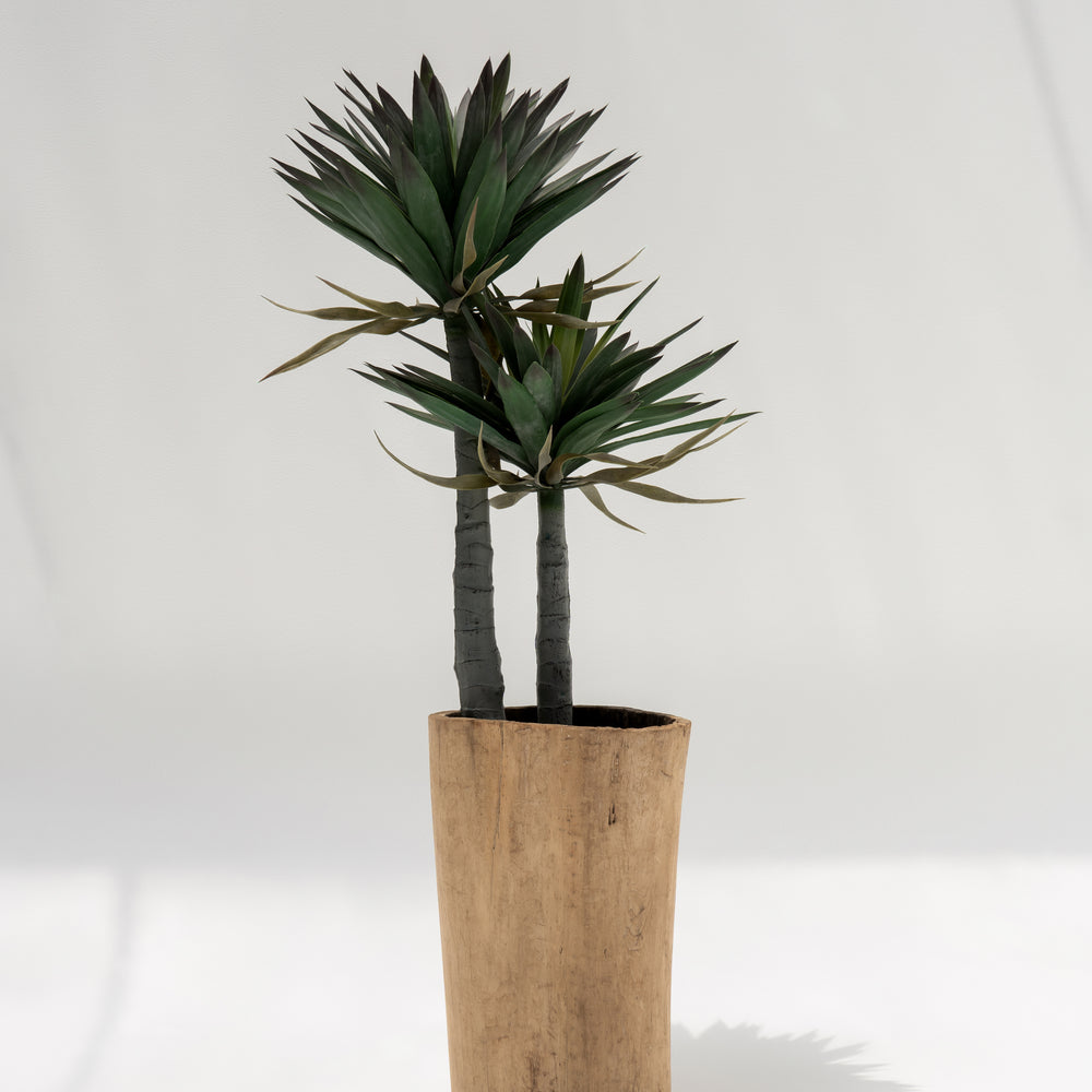 
                  
                    Amandine | Pot
                  
                