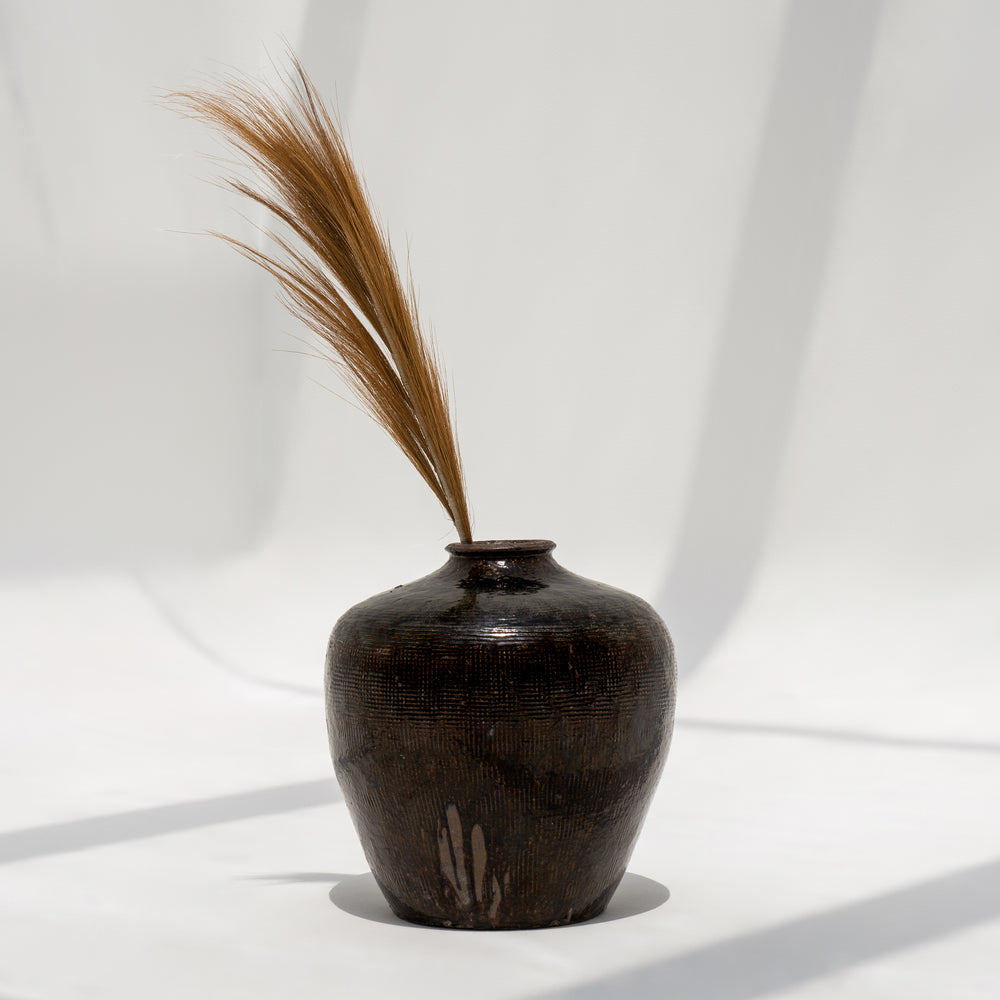 
                  
                    Aude | Pot
                  
                