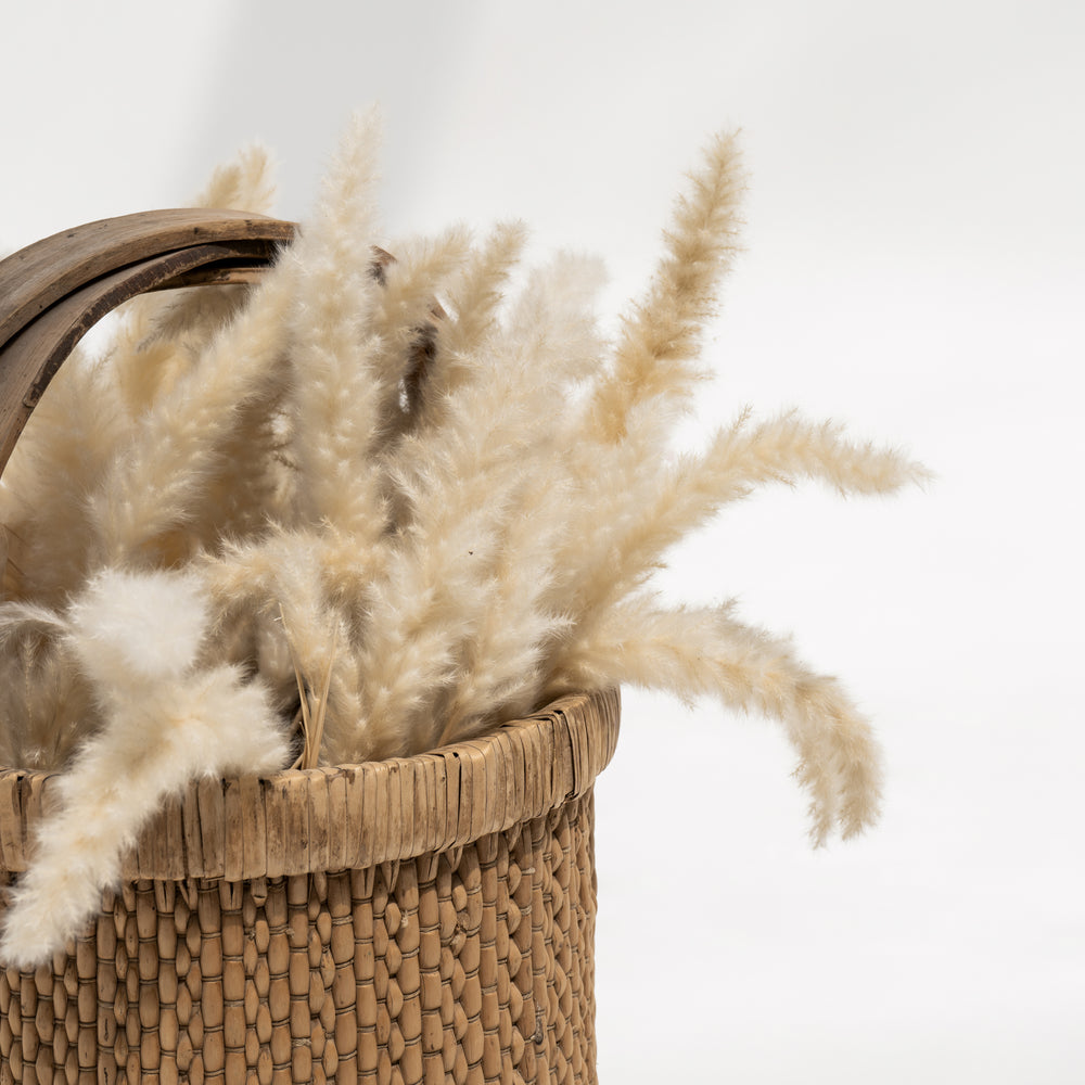 Olivia | Harvest basket