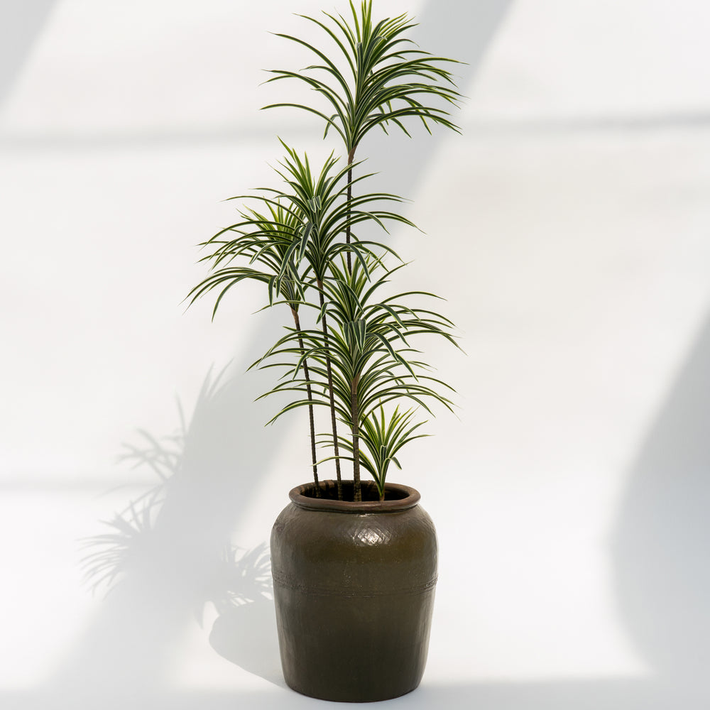 Pascale | Pot